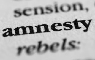 Virginia Amnesty Program