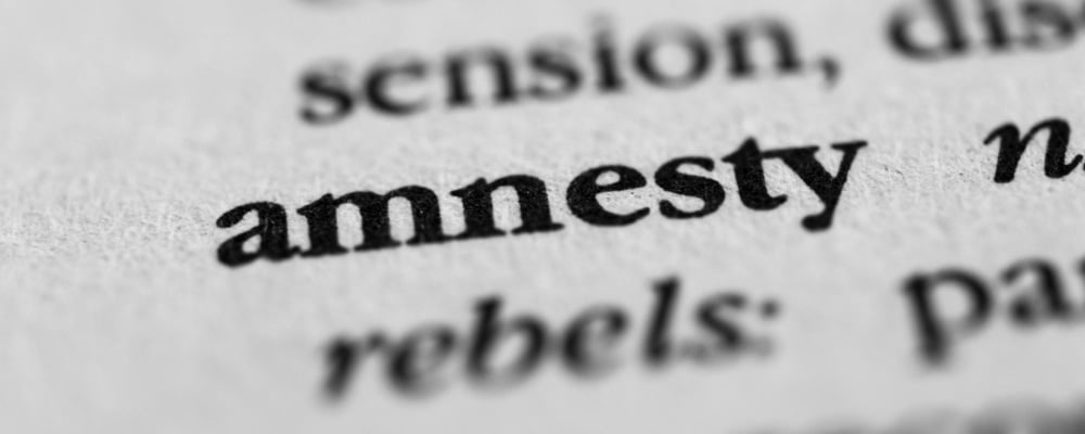 Virginia Amnesty Program
