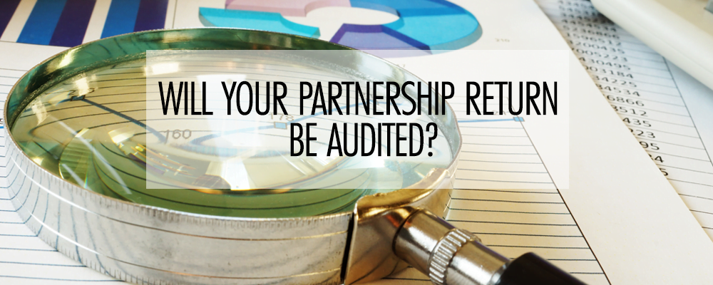 partnership return audit - Warrenton CPA