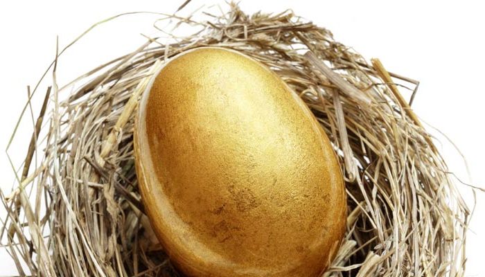 retirement savings nest egg