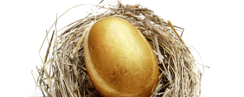 retirement savings nest egg