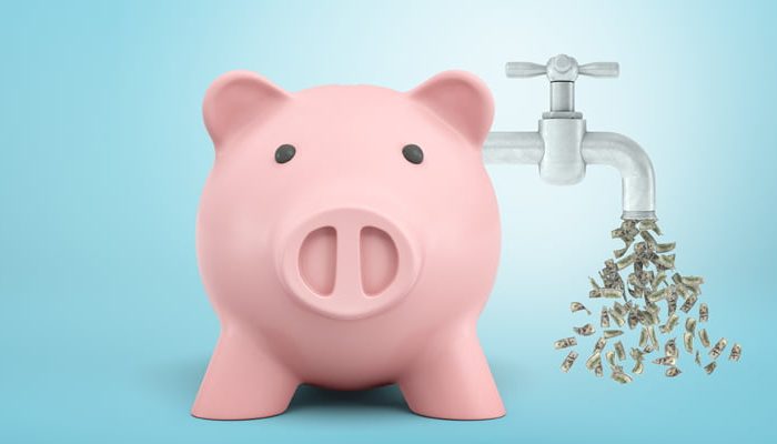 Piggy Bank Cash Flow