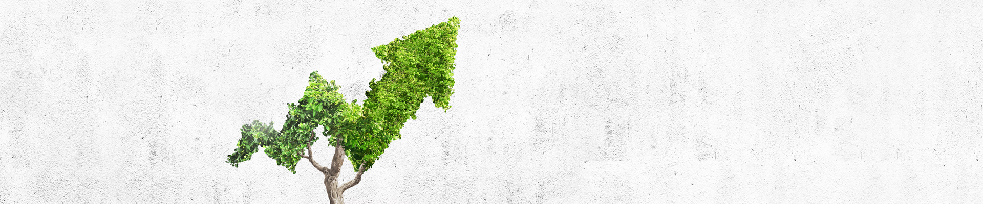 business direction pbmares