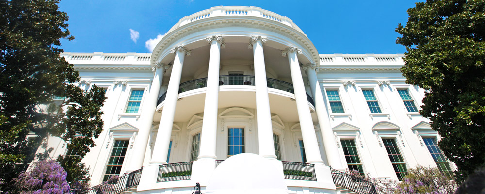 White House Detail