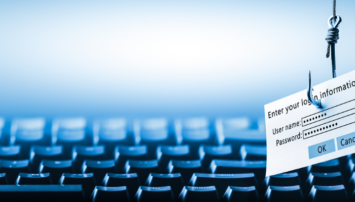 Don't Get Hooked: A Guide to Phishing for Government Contractors