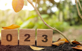 Quarterly Nonprofit Update: Fall 2023