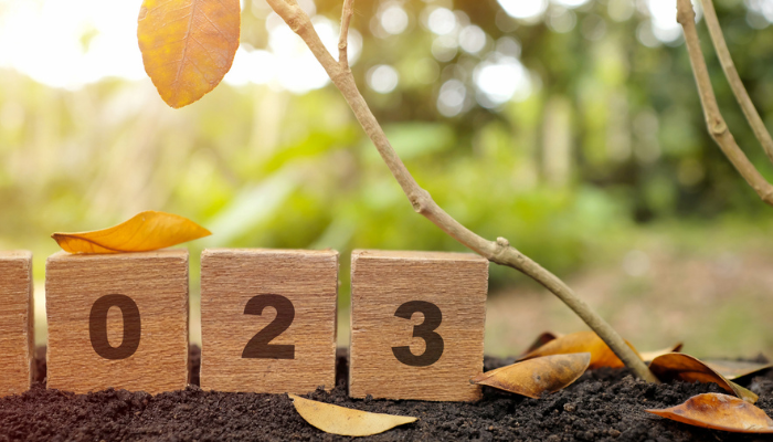 Quarterly Nonprofit Update: Fall 2023
