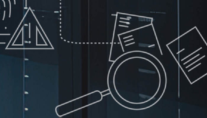 Risk Advisory Internal Controls