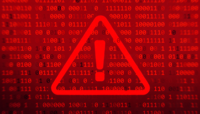 Fraud - Next Steps
