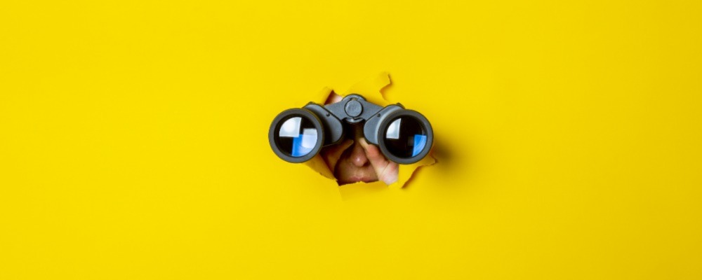 Surveillance Survival – Responding to a Government Audit