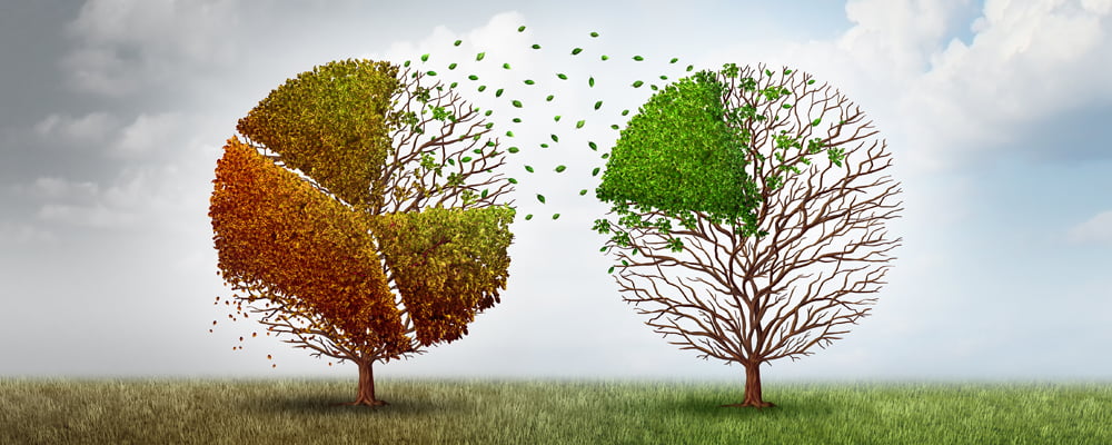 Philanthropy in Clubs: Planned Giving Programs