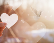 NFP charitable giving