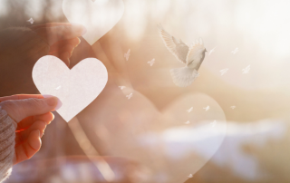 NFP charitable giving