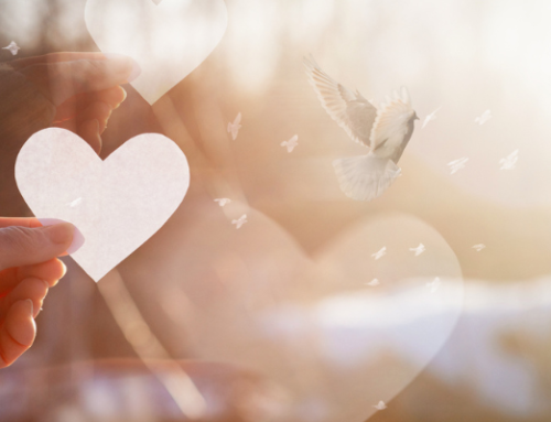 How Nonprofits Can Prepare for New Charitable Giving Rules in 2026