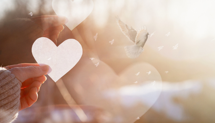 NFP charitable giving