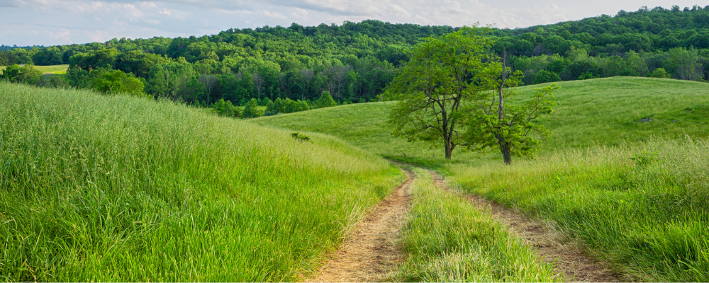 Virginia Land Preservation Tax Credit: Pay Less for Your Virginia Taxes